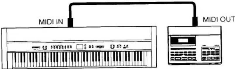 MIDI IN MIDI OUT