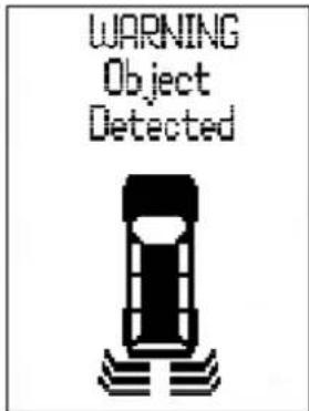 WARNING Object Detected