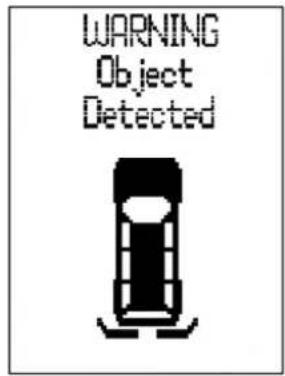 WARNING Object Detected