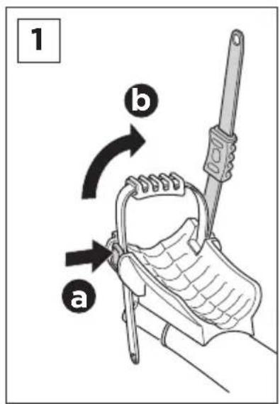 1 a b