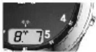8° 75
