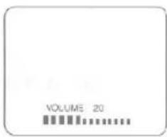 VOLUME: 20