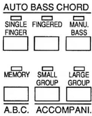 YAMAHA US1000 - AUTO BASS CHORD - 1