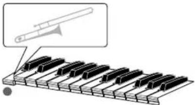 Diagram showing a piano keyboard with a trumpet above it, indicating musical notation or instruction.