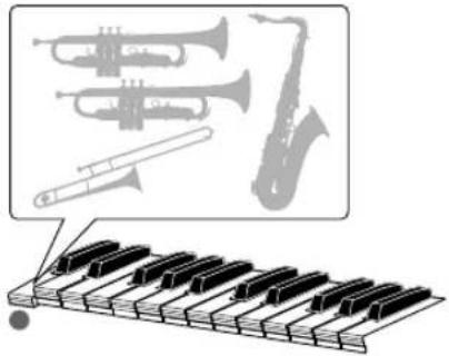 ROLAND ARX-03 - When you play single notes - 1