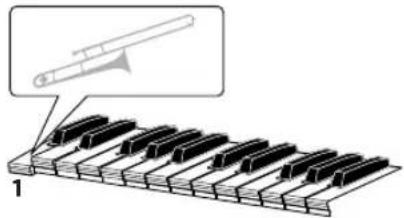 ROLAND ARX-03 - When you play single notes - 1