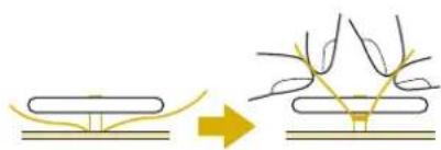 BABY LOCK Ellisimo Gold 2 BLSOG2 - ■Attaching a Shank to the Button - 2