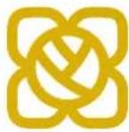 BABY LOCK Ellisimo Gold 2 BLSOG2 - CAUTION - 2