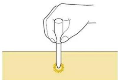 BABY LOCK Ellisimo Gold 2 BLSOG2 - Note - 2