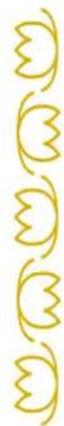 BABY LOCK Ellisimo Gold 2 BLSOG2 - Combining Horizontal Mirror Image Stitch Patterns - 1