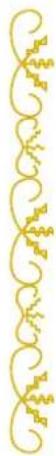 BABY LOCK Ellisimo Gold 2 BLSOG2 - Combining Large and Small Stitch Patterns - 1