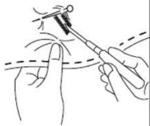 BABY LOCK Amelia BL100A - CORDED BUTTONHOLES - 2