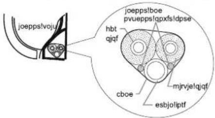joeppslvoju hbt ajqf joeppslboe pvueppslqpxfsldpse cboe esbjoliptf mirvje!qjqt