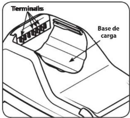 Terminals Base de carga