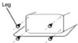 Leg