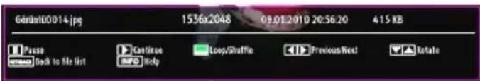 Gérardt0014.jpg 1536x2048 09.01.201D 20:56:20 415 KB Passes Back to file list Continue NPO Help Loop/Strike Previous/Next Rotate