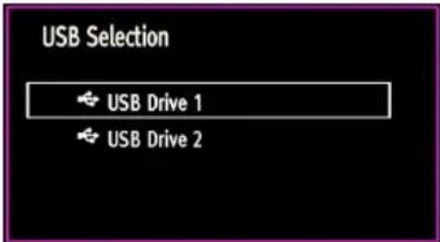 USB Selection USB Drive 1 USB Drive 2
