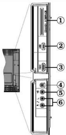 Diagram of a computer monitor front panel with labeled ports and connectors, showing internal structure and component layout.
