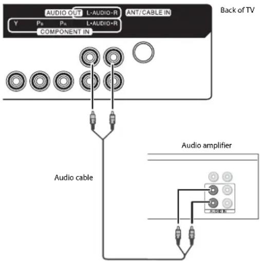 AUDIO OUT L-AUDIO-R ANT/CABLE IN Y Pn Pn L+AUDIO-R COMPONENT IN Back of TV Audio cable Audio amplifier