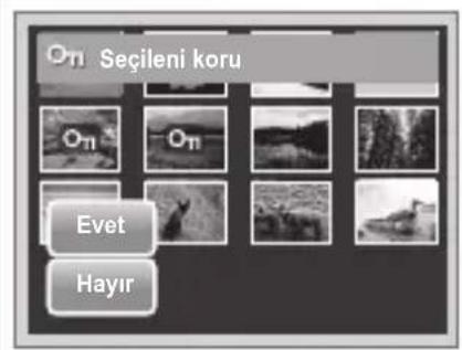 Oπ Seçileni koru Oπ Oπ Evet Hayır