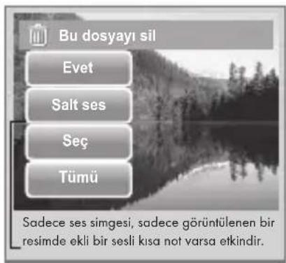Bu dosyayı sil Evet Salt ses Seç Tümü Sadece ses simgesi, sadece görüntülenen bir resimde ekli bir sesli kısa not varsa etkindir.