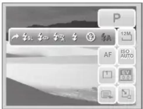 P 12M AF ISO AUTO EV 0.5