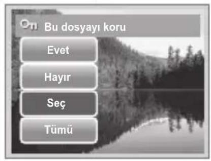 Bu dosyayı koru Evet Hayır Seç Tümü