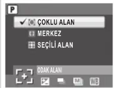 P ÇOKLU ALAN MERKEZ SEÇILI ALAN ODAK ALANI