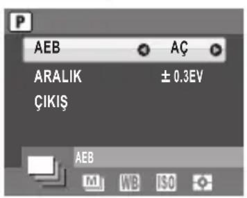 GRUNDIG GSC 110 - BAŞLARKEN - 1
