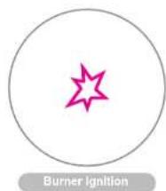 Simple graphic with a pink star inside a circle and the text 'Burner ignition' below (no other symbols or text)