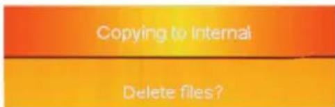 Copying to Internal Delete files?