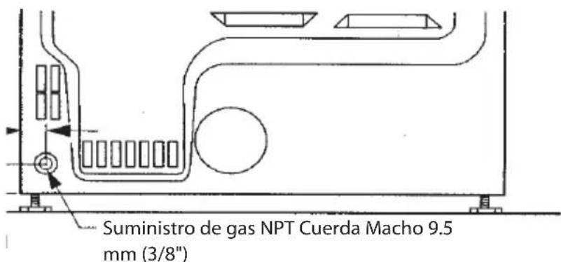 Suministro de gas NPT Cuerda Macho 9.5 mm (3/8")