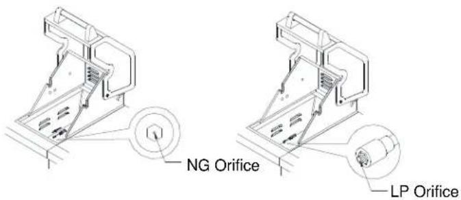 NG Orifice LP Orifice