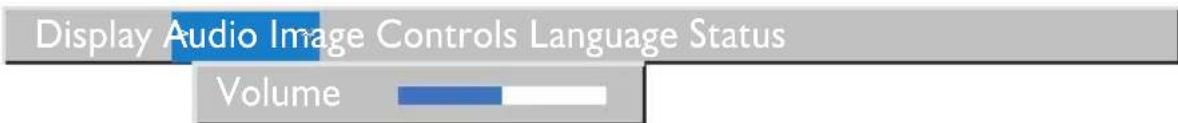 Display Audio Image Controls Language Status Volume