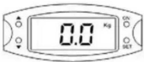 0.0 Kg ON O SET