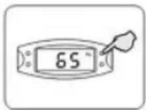 65°