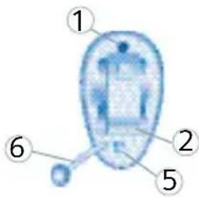 ① ② ⑤ ⑥