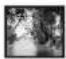 Macrom M-DVD7701R - SETTING THE TV SCREEN SIZE - 1