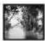 Macrom M-DVD7701R - SETTING THE TV SCREEN SIZE - 3