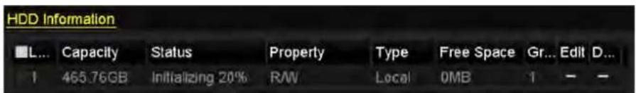 HDD Information L... Capacity Status Property Type Free Space Gr... Edit D... 1 465.76GB Initializing 20% RAW Local 0MB 1 - -