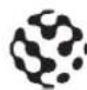 PANASONIC DMR-UBX4030 - リモコンに電池を入れる - 3