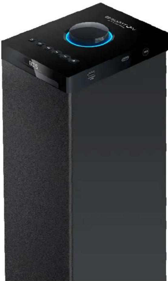 BRIGMTON BTW-80-CD - BRIGMTON - 1