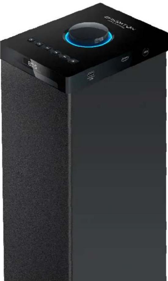 BRIGMTON BTW-80-CD - BRIGMTON - 1