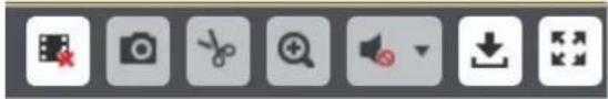 Toolbar with eight grayscale icons representing photo, camera, editing, search, download, and other editing functions