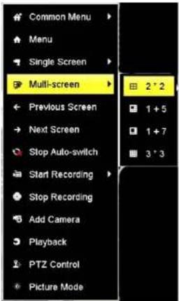 Common Menu Menu Single Screen Multi-screen Previous Screen Next Screen Stop Auto-switch Start Recording Stop Recording Add Camera Playback PTZ Control Picture Mode