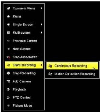 Common Menu Menu Single Screen Multi-screen Previous Screen Next Screen Stop Auto-switch Start Recording Stop Recording Add Camera Playback PTZ Control Picture Mode Continuous Recording Motion Deletion Recording