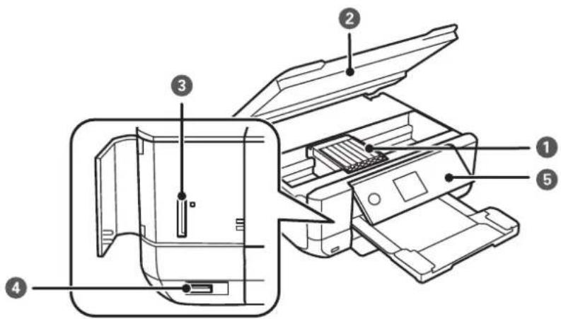 EPSON Colorio EP-810AB - プリンターの基本情報 - 3