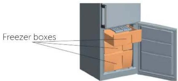 Freezer boxes