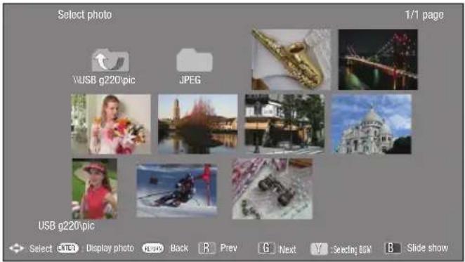 Select photo 1/1 page WUSB g220Vpic JPEG USB g220Vpic Select Display photo Back R Prev G Next Y : Selecting BOW B Slide show