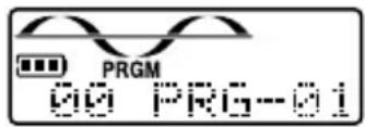 PRGM 00 PRG-01